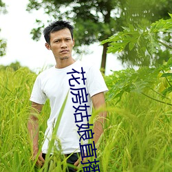 花房姑娘直播