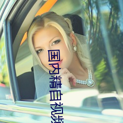 国内(內)精自视频品一(一)区2区(區)