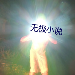 无(無)极小说