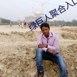 綠巨人聚合入口app
