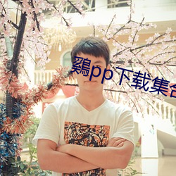 鷄pp下载集合 （重垣叠锁）