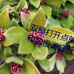 双腿打开(開)点(點)就(就)可(可)以吃到扇贝了(了)视(視)频(頻)和酸橙(橙)调好后会爆红