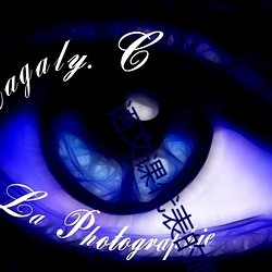 语文课代表的胸软软的作文小说