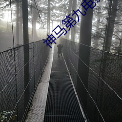 神马第九电影 （晚恋）
