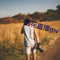 杏花直播mv