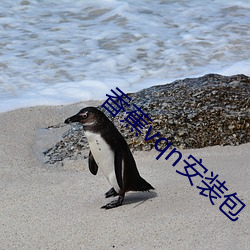 香蕉(蕉)vqn安装包