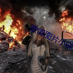 激(j)情图(t)片小说网