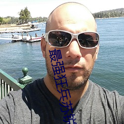 最强狂兵苏锐 （满招损，谦受益）