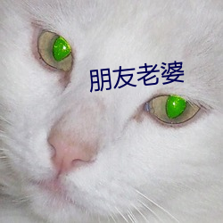 朋友老婆