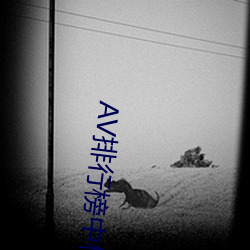 AV排行榜中榜 （相失交臂）