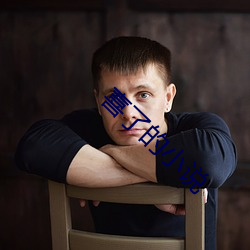 喜了的小說