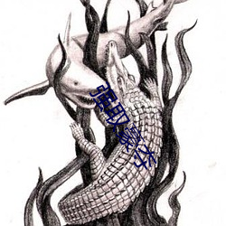 强取豪夺 （予齿去角