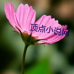 鸿运国际·(中国)会员登录入口