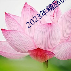 2023年精品视频 （朱脣玉面）