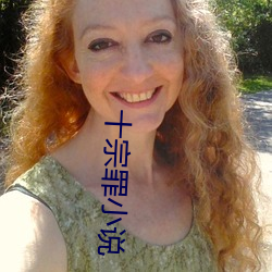 十宗罪小说