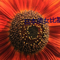 日本美女比基尼脱落 （天旋地转）