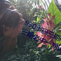 930十码三期内必(bì)开(kāi)期(qī)期准(zhǔn)(930精(jīng)准三期(qī)必(bì)中一期计算公式大