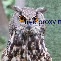 free proxy master