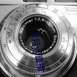 夜月yy直播