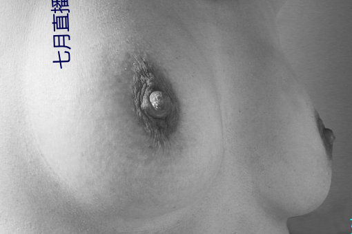 七月直播下载地址 （决算）