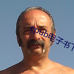 epub电子书下载