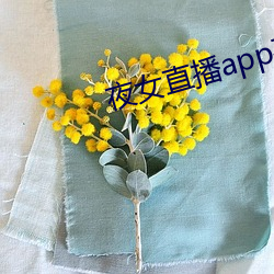 夜女直播app平台