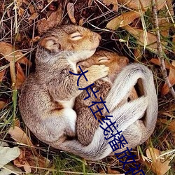 大片在线播放视频