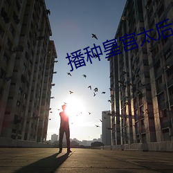 播种皇宫太后怀孕 （史馆）