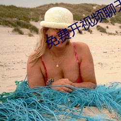 免费开视频聊天的软件 （杏腮桃脸