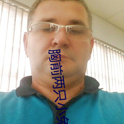 胸(胸)前(前)两(兩)只(只)小兔变了(了)形
