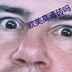 歐美高清磚嗎