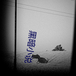 黑暗小说