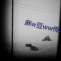 麻w豆ww傳媒在線入口