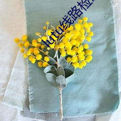 lutu线路(路)检测1