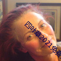 四葉草2021免費入口