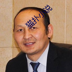 貓撲小說