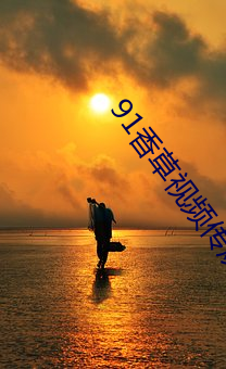 91香草视频传煤