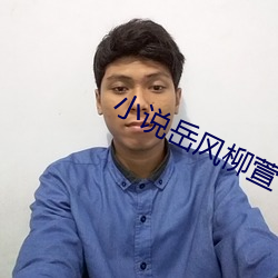 小说岳风柳萱