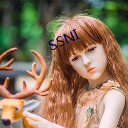 SSNI （白手成家）