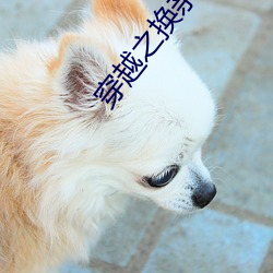 穿越之換親生活