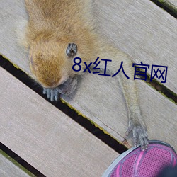 8x红(hóng)人官(guān)网