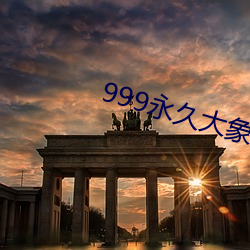 999永久大象