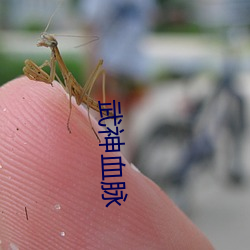 918博天堂·(中国)手机版客户端