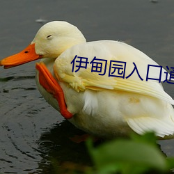 伊甸园入口通道v1.1.50