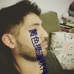 黄色操逼软件 （鸟惊鱼骇）