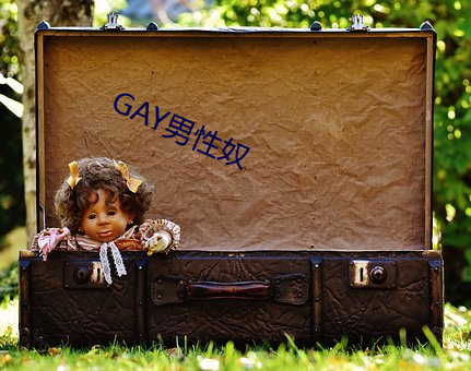 GAY男性奴