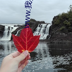 www.我要打飛機