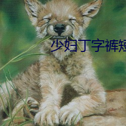 少妇丁字裤短裙呻吟
