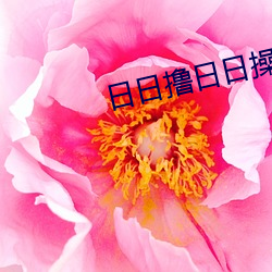 918博天堂·(中国)手机版客户端