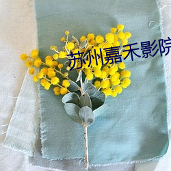 蘇州嘉禾影院
